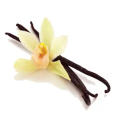 Organic Vanilla Bean – Heaven Scent
